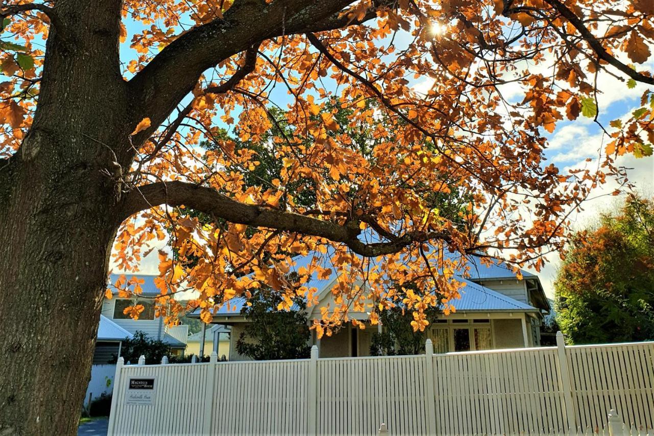 Healesville House - Magnolia House Dış mekan fotoğraf